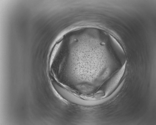 X0000080181528200612302232