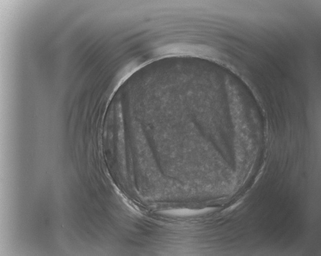 X0000080181529200612302232