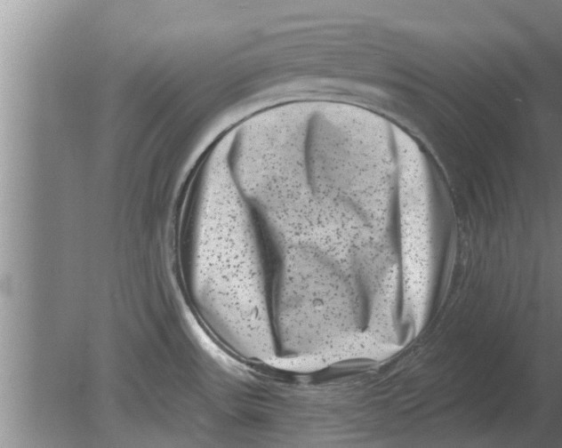 X0000080181531200612302232