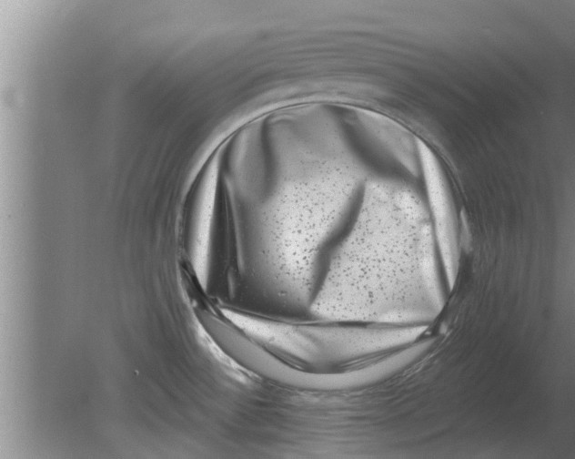 X0000080181532200612302232