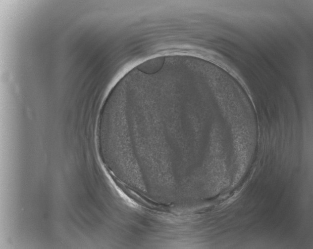 X0000080181533200612302232