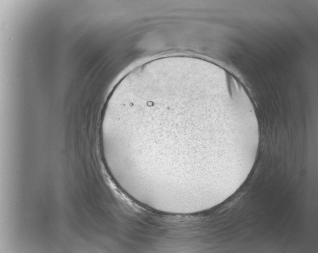 X0000080181534200612302232