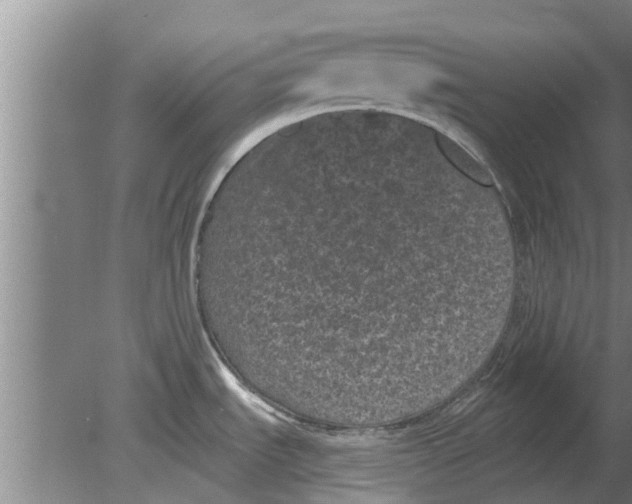 X0000080181535200612302232