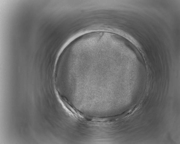 X0000080181536200612302232