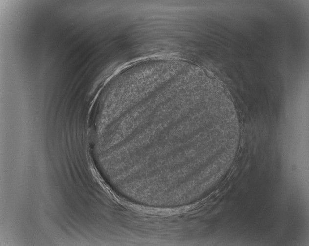 X0000080180002200701051709