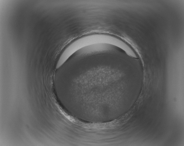 X0000080180009200701051709