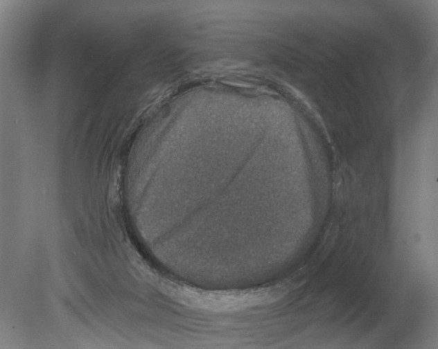 X0000080180018200701051709