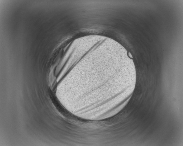 X0000080180020200701051709