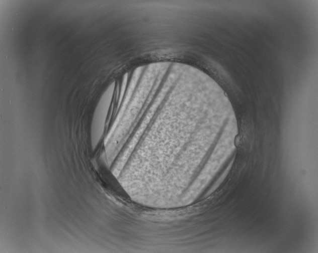 X0000080180025200701051709