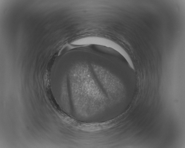 X0000080180029200701051709