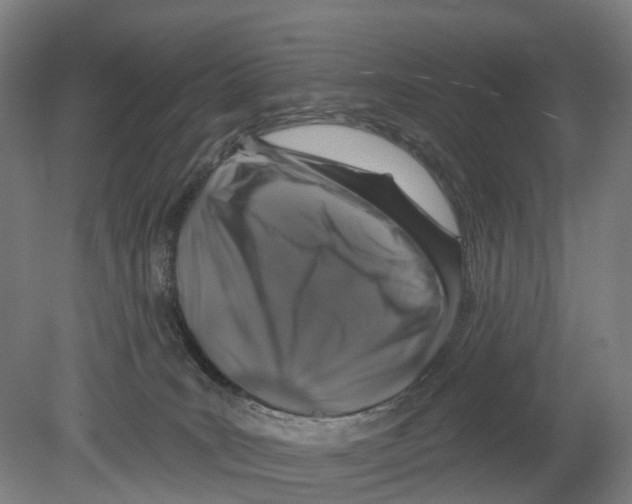 X0000080180035200701051708