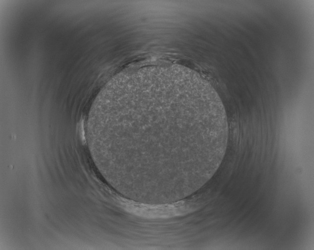 X0000080180042200701051708