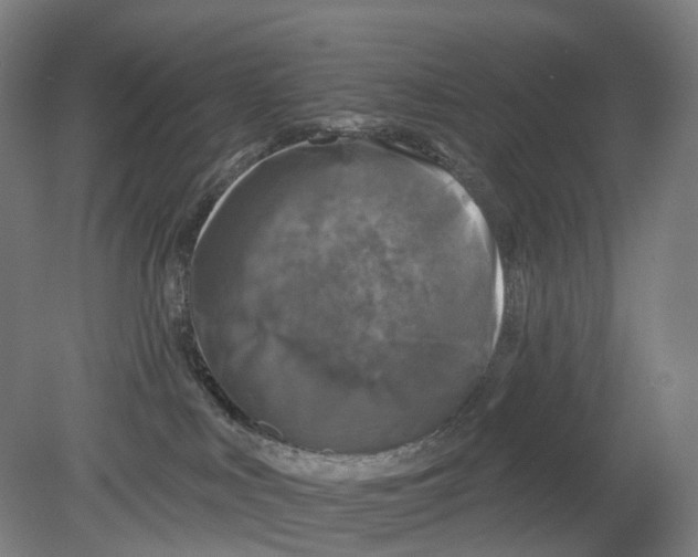 X0000080180043200701051708