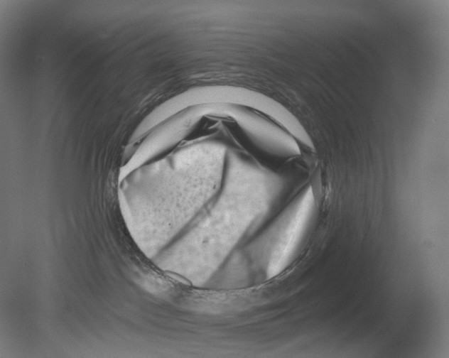 X0000080180045200701051708