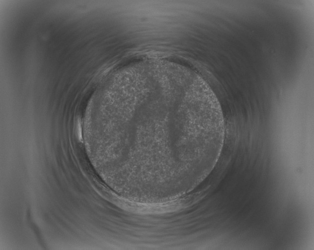 X0000080180046200701051708