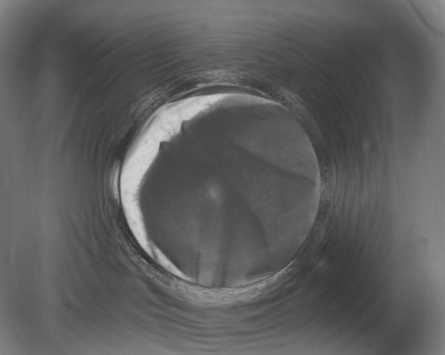 X0000080180047200701051708