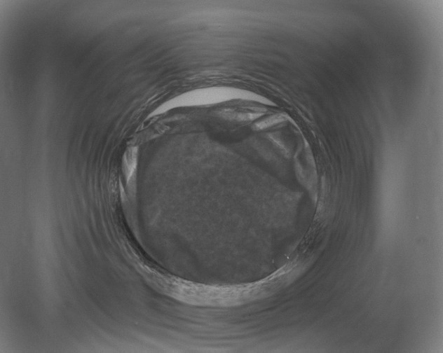 X0000080180048200701051708