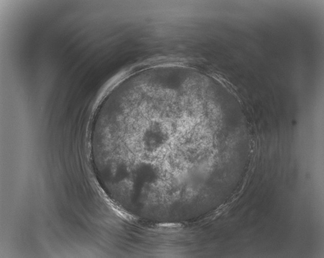 X0000080180053200701051707