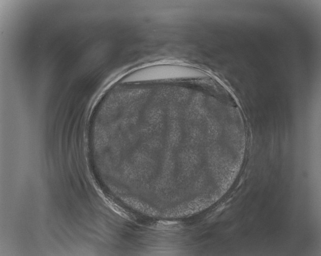 X0000080180055200701051707