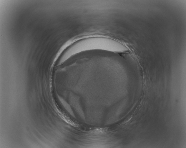 X0000080180056200701051707