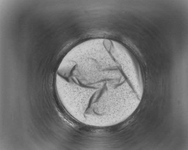 X0000080180058200701051708