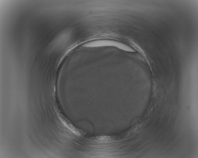 X0000080180059200701051708