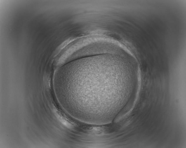 X0000080180060200701051708