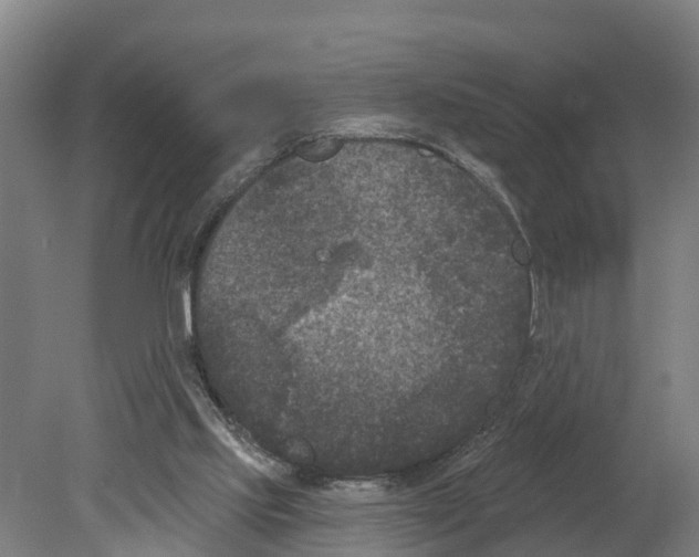 X0000080180061200701051708