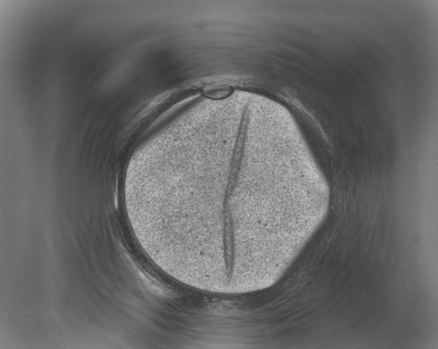 X0000080180062200701051708