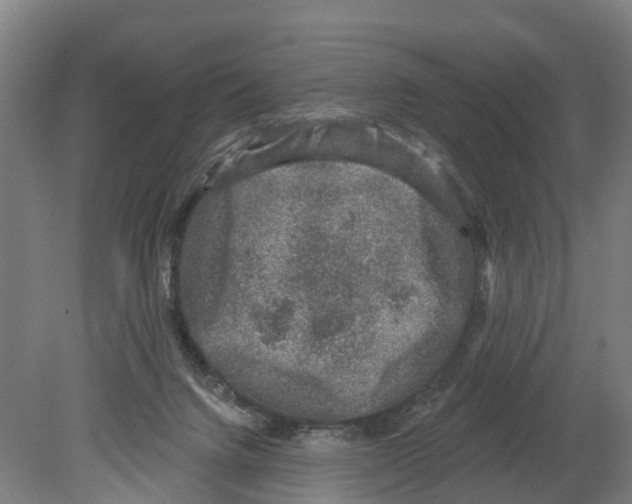 X0000080180072200701051708