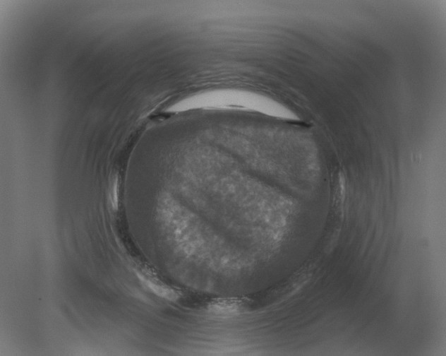 X0000080180076200701051708