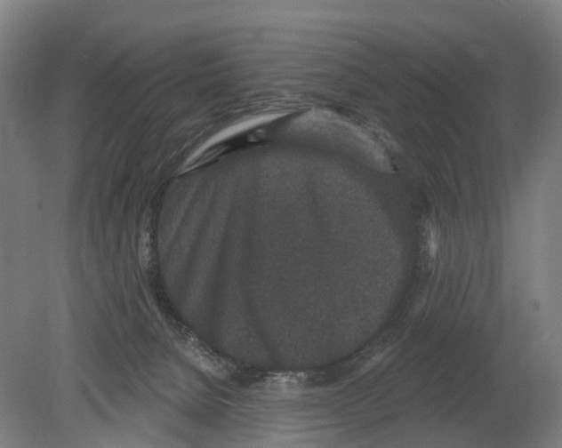 X0000080180080200701051708