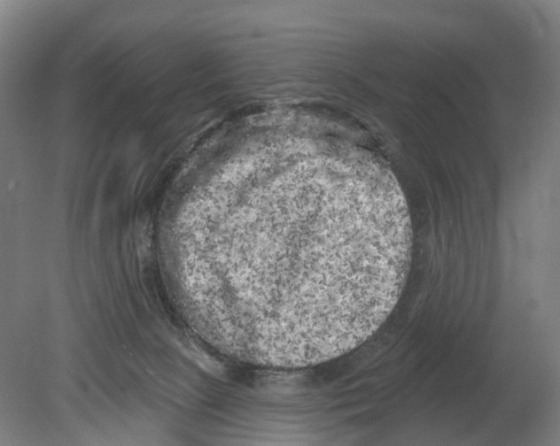 X0000080180081200701051708