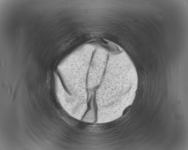 X0000080180082200701051708