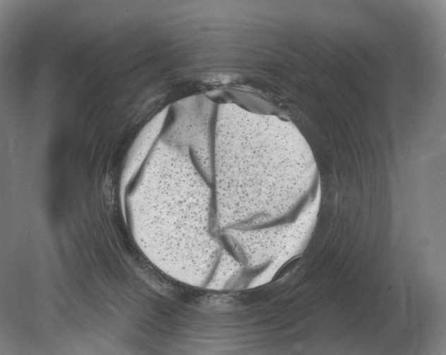 X0000080180086200701051708