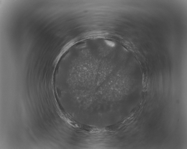 X0000080180099200701051707