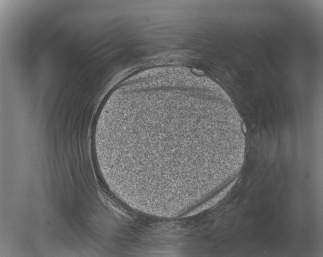 X0000080180100200701051707