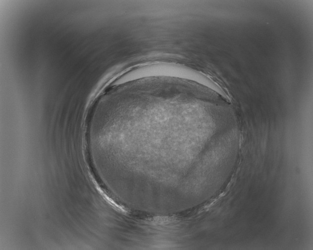 X0000080180101200701051707