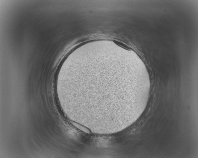 X0000080180103200701051707