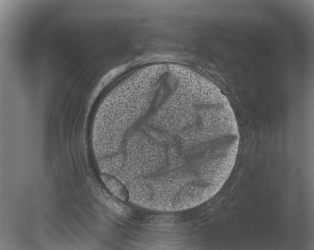 X0000080180104200701051707