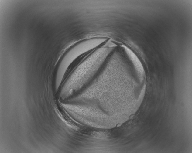 X0000080180107200701051707