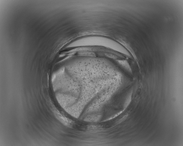 X0000080180109200701051707