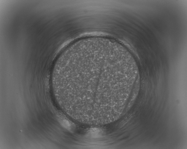 X0000080180111200701051707