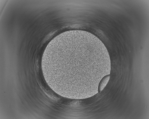 X0000080180116200701051707