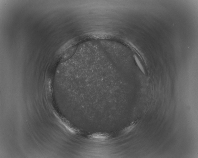 X0000080180117200701051707