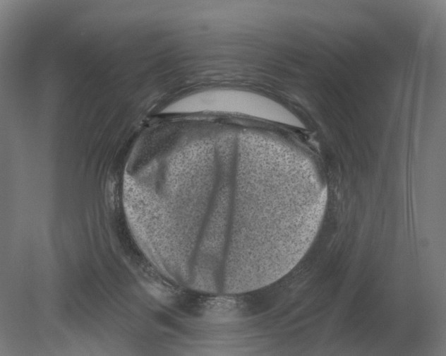 X0000080180123200701051707