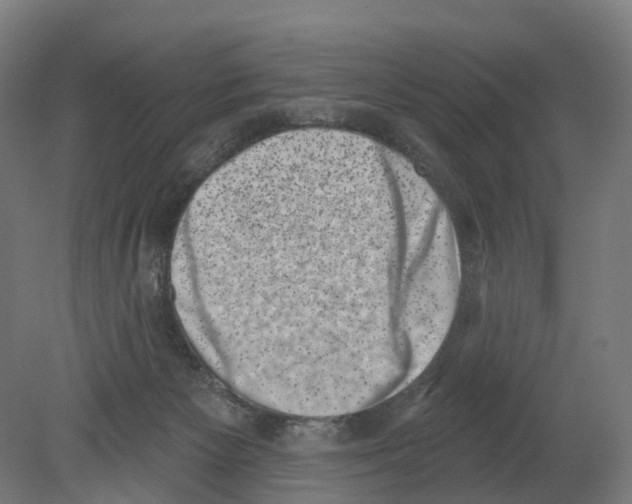 X0000080180125200701051707