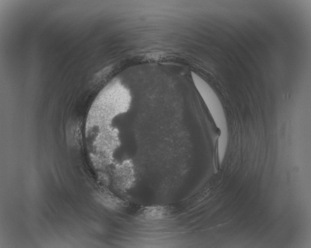 X0000080180127200701051707