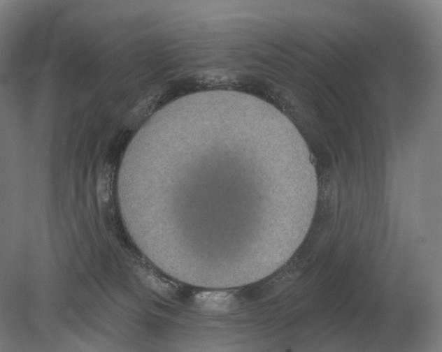 X0000080180133200701051707