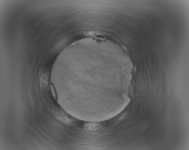 X0000080180139200701051707